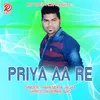 About Priya Aa Re Sambalpuri Song