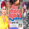 About Godna Godwala Sahuwan Ke Song