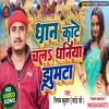 Kare Chala Dhaniya Dhan Ke Katniya Bhojpuri