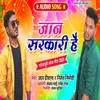About Jaan Sarkari Hai Song