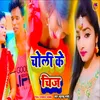 About Choli Ke Chijh bhojpuri Song