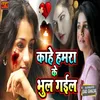 About Kahe Hamra Ke Bhual Gaila Song