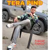About Tera Pind Song