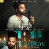 About Ulijhigyu Pahadi Song