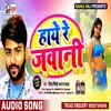 Hay Re Jawani Bhojpuri Song