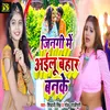 About Zinagi Me Ailu Bahar Banke Song