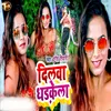 About Dilwa Dharkela Song