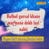 Bulbul Gursal Khane Mai Mene Dekh Layi Nahti
