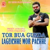 Tor Bua Gunda Lageichhe Mor Pachhe