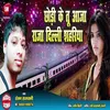 About Chhodi Ke Tu Aaja Raja Dilli Shahariya Bhojpuri Song