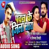 About Pawan Ke Jila Ara Bhojpuri Song