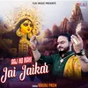 About Aaj Ho Rahi Jai Jaikar Song