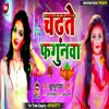 About Chadte Fagun Bhojpuri Song