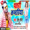 Patari Kamariya Bhojpuri