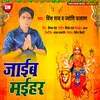 About Jaib Maihar Bhojpuri Song