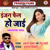 About Injan Fel Ho Jai Bhojpuri Song