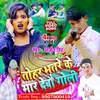Tora Bhatre Ke Maar Debau Goli Ge Bhojpuri songs