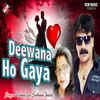 About Deewana Ho Gaya Song