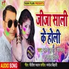 About Jija Sali Ke Holi Song