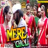 About Mere Choli Hindi Song