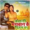 About Jawani Bhagwan Ke Dihal Ba Song