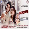 About Bandhan Song