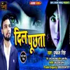 About Dil Puchhata Bhojpuri Song
