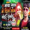 About Naya Sal Mai Dil Jaan Toir Delkai Maithili Song Song