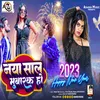 About Naya Sal Mubarak Ho HINDI Song