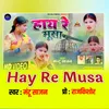 About Hay Re Musa Song