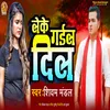 About Le Ke Gaila Dil Bhojpuri Song