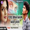 About Tere Bina Mai Mar Java Song
