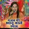 About Gajab Mere Khatu Vale Shyam Hindi Song
