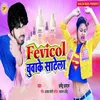 About Fevicol Chuwake Satela Song