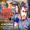 About Vyapar Pyaar Ke Bhojpuri Song