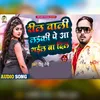 About Reel Wali Laiki Pe Dil Aa Goil Song