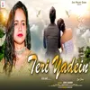 About Teri Yaadein Song