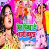 About Bin Pijada Ke Bani Kabutar Song