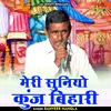 About Meri Suniyo Kunj Bihari Hindi Song