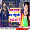 About Naya Sal Mein Babu Tor Bhej Delkau Jail Song