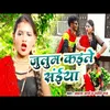 About Julam Kaile Saiya Bhojpuri Song Song