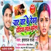 About Chat Chat Ke Devra Dhodhiya Lal Karela Song