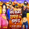 About Tor Kamar Chhapra Ke Dhala H BHOJPURI Song