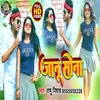 About Janu Sona Bhojpuri Song Song