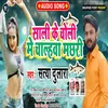 About Sali Ke Choli Me Chalhawa Machhari Song