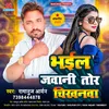 About Bhail Jawani Tor Chikhanawa Song