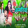 About Kamariya Patare Patare Bhojpuri Song