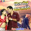 About Dil Tod Mat Jaiye Song