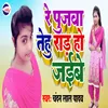 About Re Pujawa Tehu Rad Ho Jaibe Bhojpuri Song