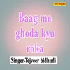 Baag Me Ghoda Kyu Roka